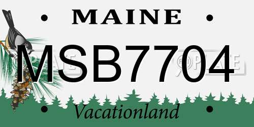 MSB7704 Maine License Plate