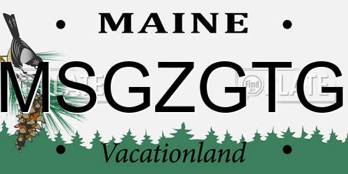 MSGZGTG Maine License Plate
