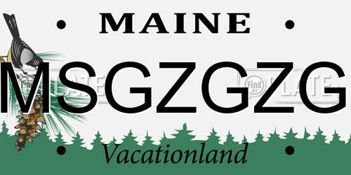 MSGZGZG Maine License Plate