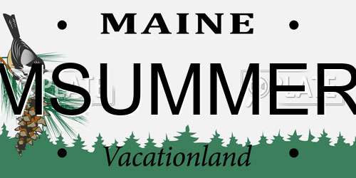 MSUMMER Maine License Plate