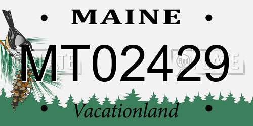 MT02429 Maine License Plate