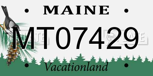 MT07429 Maine License Plate