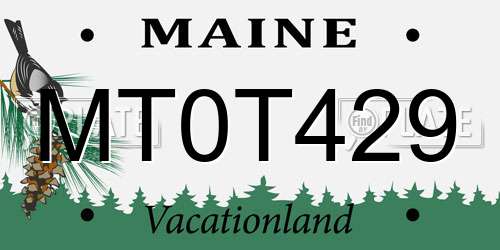 MT0T429 Maine License Plate