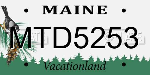 MTD5253 Maine License Plate