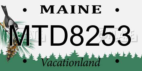 MTD8253 Maine License Plate