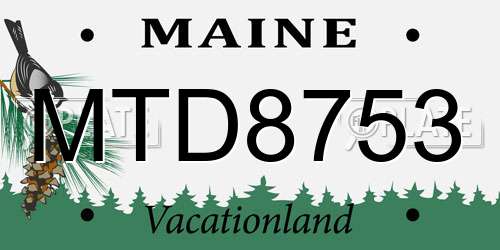 MTD8753 Maine License Plate