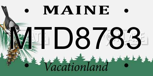 MTD8783 Maine License Plate