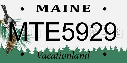 MTE5929 Maine License Plate