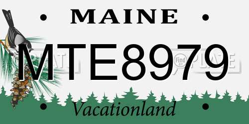 MTE8979 Maine License Plate
