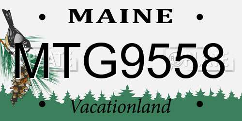 MTG9558 Maine License Plate