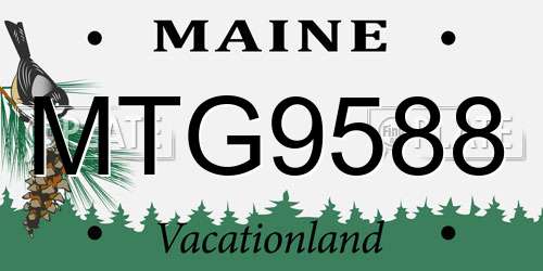 MTG9588 Maine License Plate