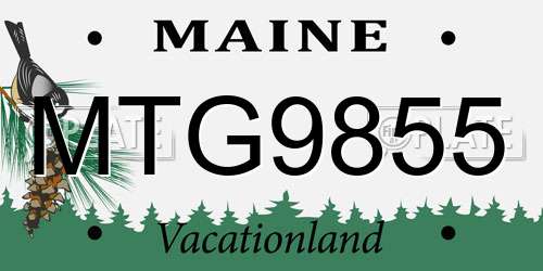 MTG9855 Maine License Plate