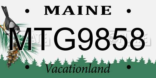 MTG9858 Maine License Plate