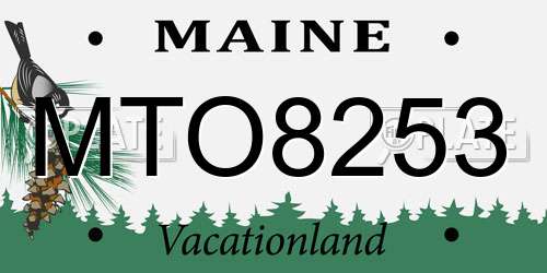 MTO8253 Maine License Plate