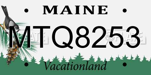MTQ8253 Maine License Plate