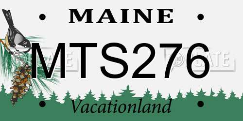 MTS276 Maine License Plate