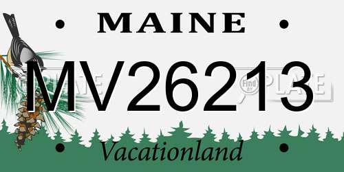 MV26213 Maine License Plate