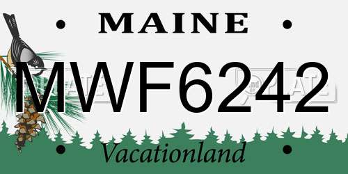 MWF6242 Maine License Plate