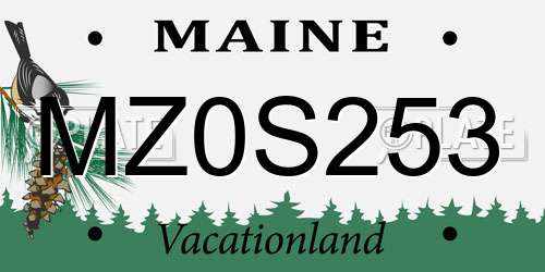 MZ0S253 Maine License Plate