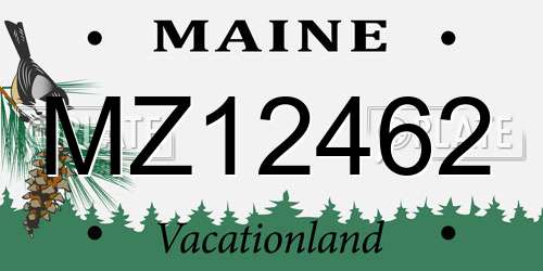 MZ12462 Maine License Plate