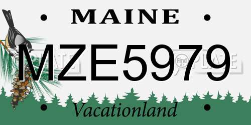 MZE5979 Maine License Plate