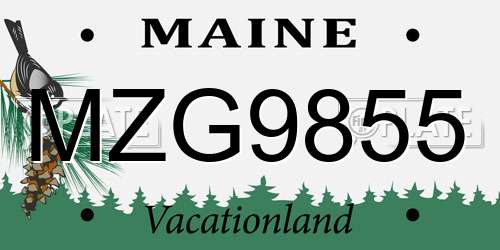 MZG9855 Maine License Plate