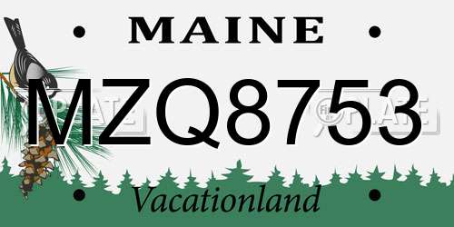 MZQ8753 Maine License Plate