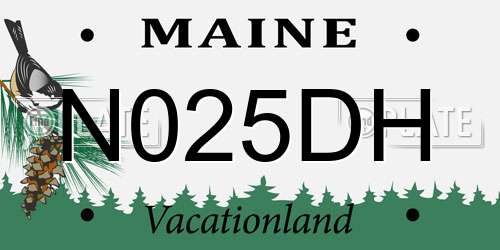 N025DH Maine License Plate