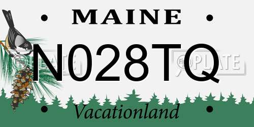 N028TQ Maine License Plate