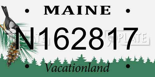 N162817 Maine License Plate