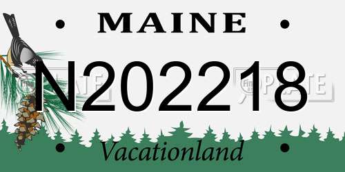 N202218 Maine License Plate