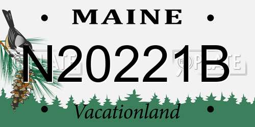 N20221B Maine License Plate