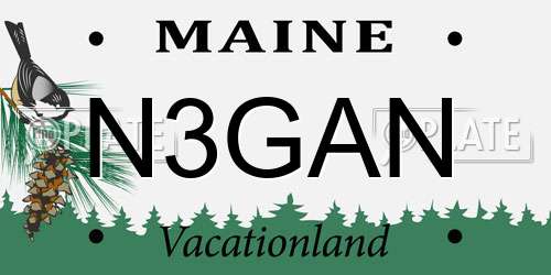 N3GAN Maine License Plate