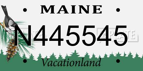 N445545 Maine License Plate