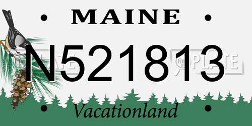 N521813 Maine License Plate