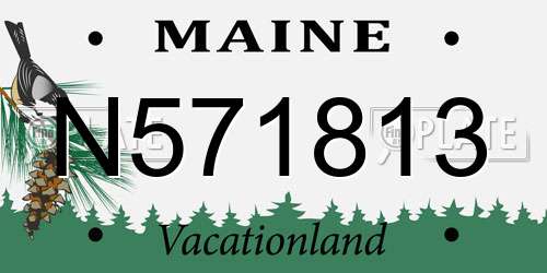 N571813 Maine License Plate