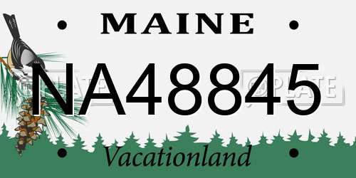 NA48845 Maine License Plate