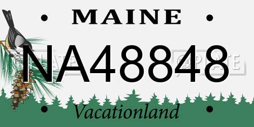 NA48848 Maine License Plate