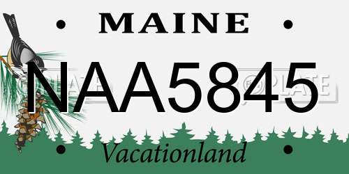 NAA5845 Maine License Plate