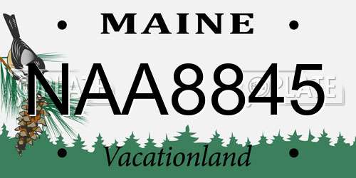 NAA8845 Maine License Plate