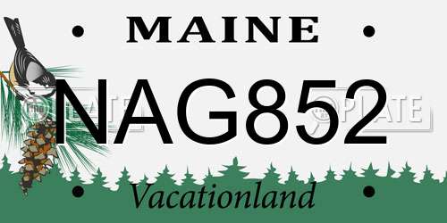 NAG852 Maine License Plate