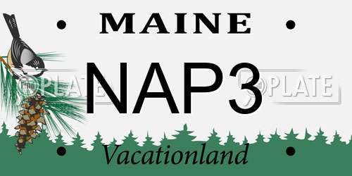 NAP3 Maine License Plate