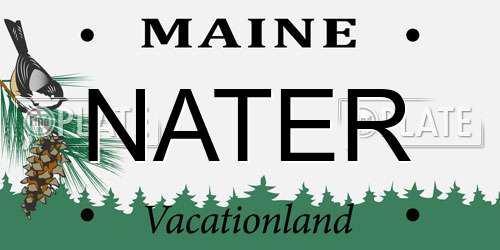 NATER Maine License Plate