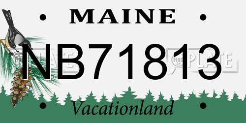 NB71813 Maine License Plate
