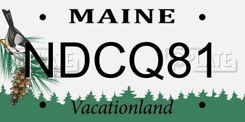 NDCQ81 Maine License Plate