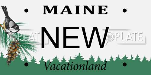 NEW Maine License Plate