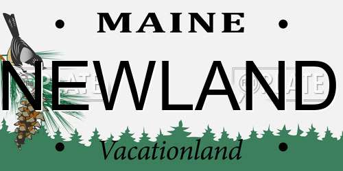 NEWLAND Maine License Plate
