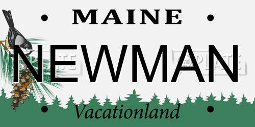 NEWMAN Maine License Plate