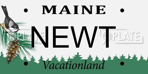 NEWT Maine License Plate