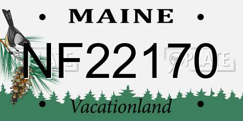 NF22170 Maine License Plate